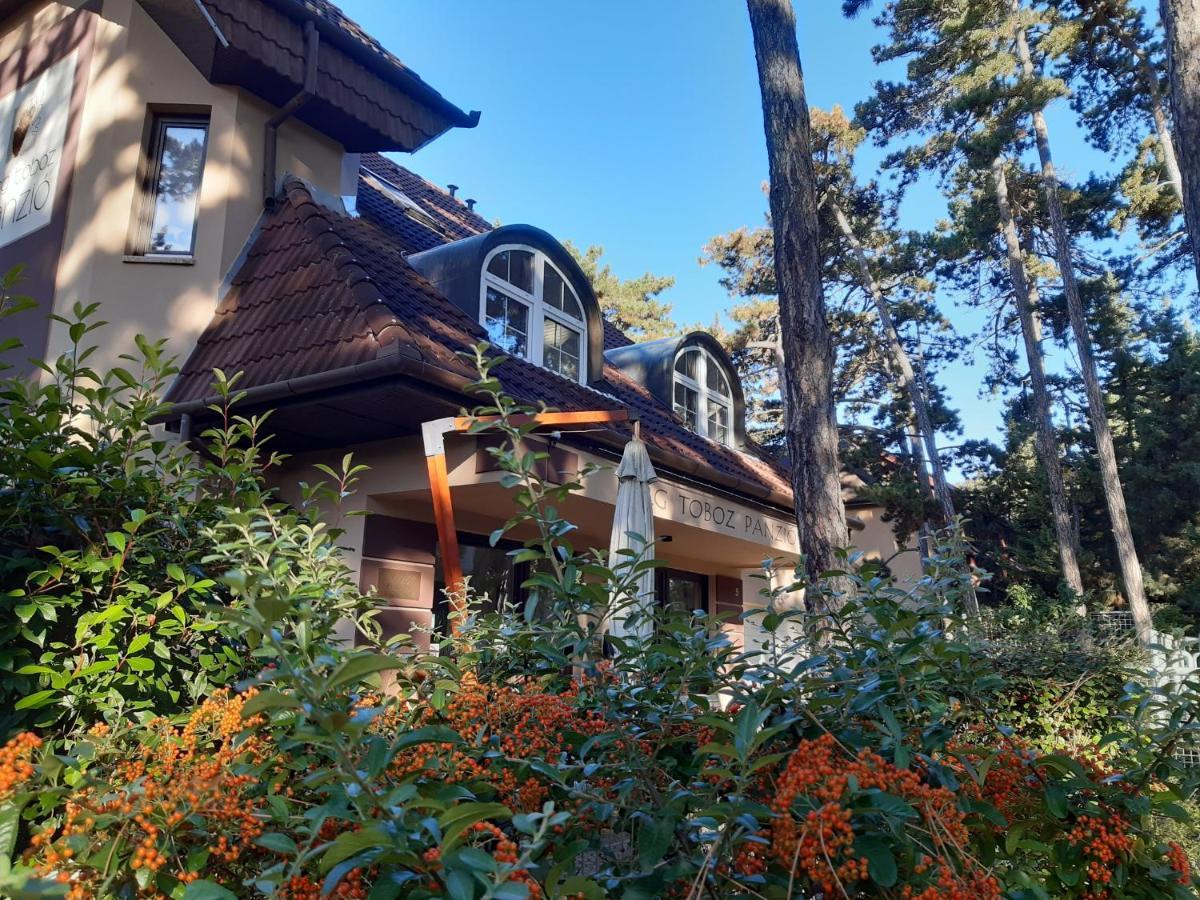 Berg Toboz Panzió Hotel Pécs Exterior foto